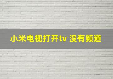 小米电视打开tv 没有频道